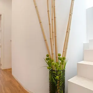 Apartamento Genteel Santa Teresa